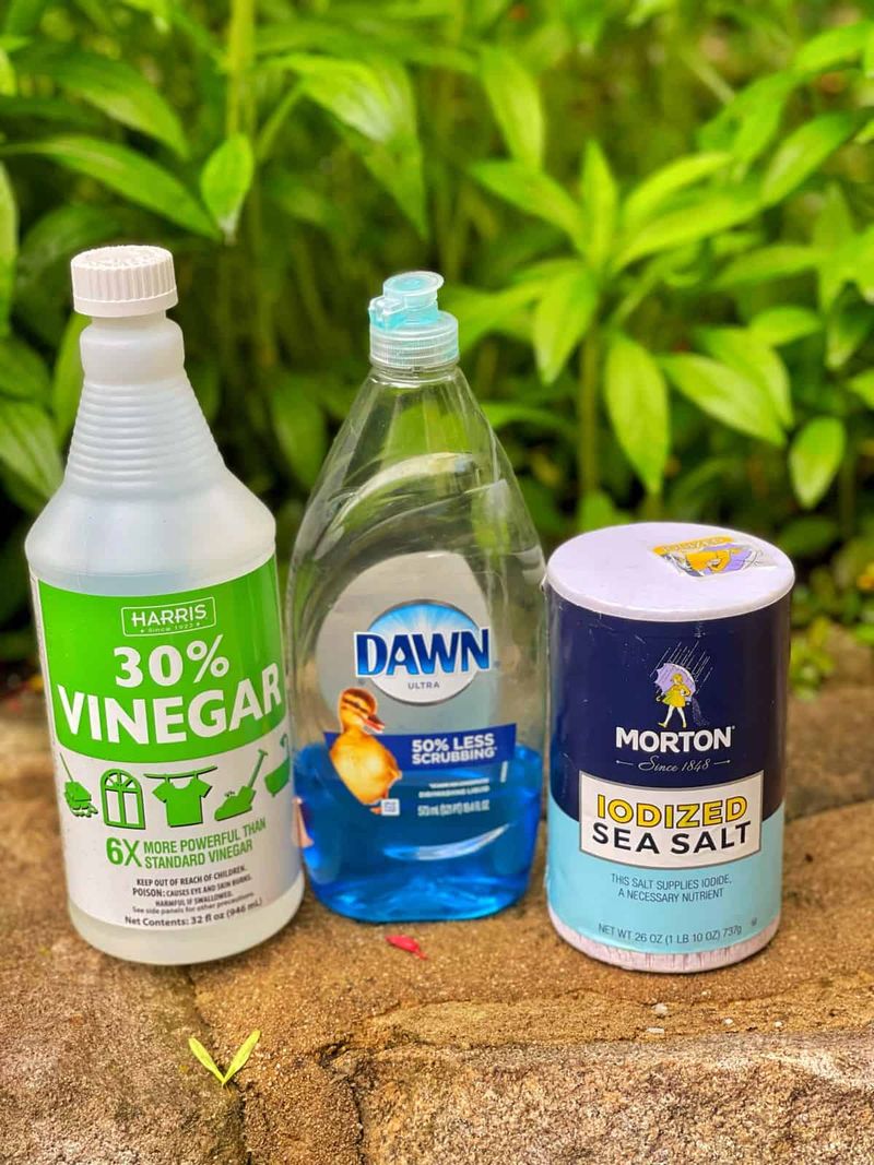 Vinegar Weed Killer