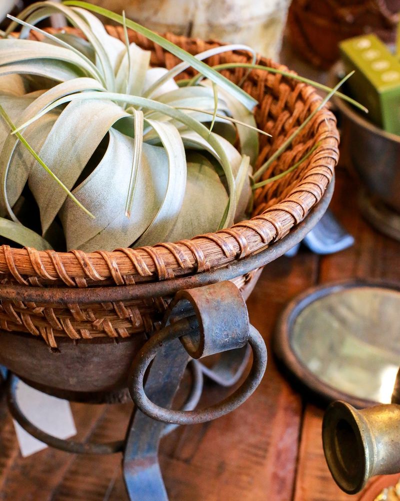 Vintage Vessels