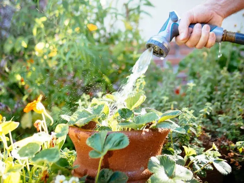 Water Temperature Matters
