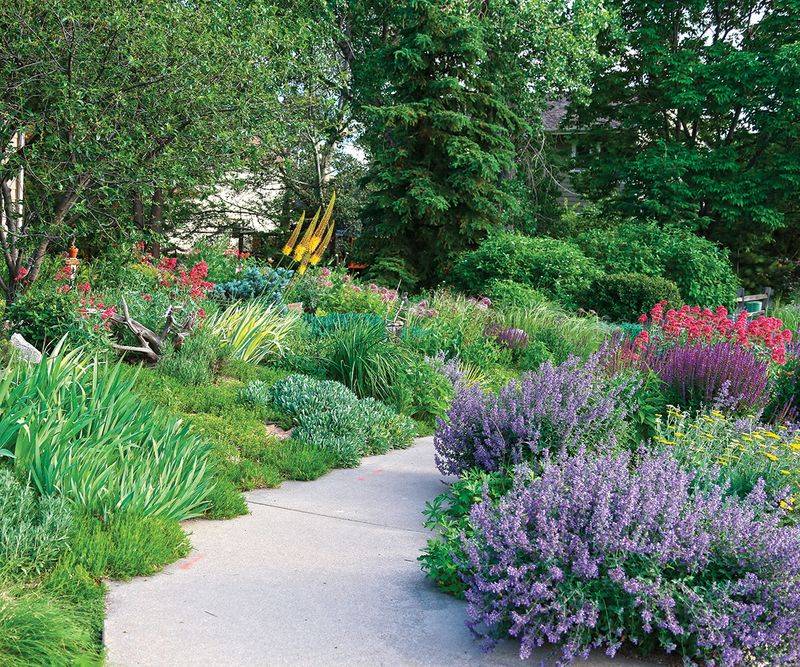 Water-Wise Garden