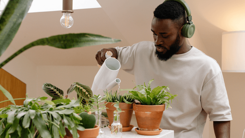 Watering Frequency