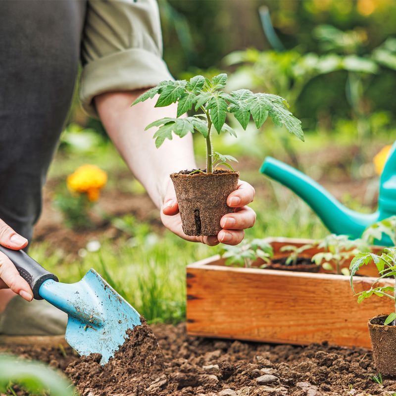 Watering Newly Planted Seeds