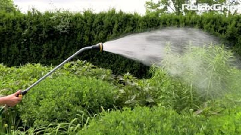 Watering Wand