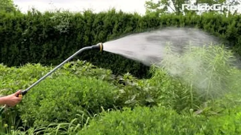 Watering Wand