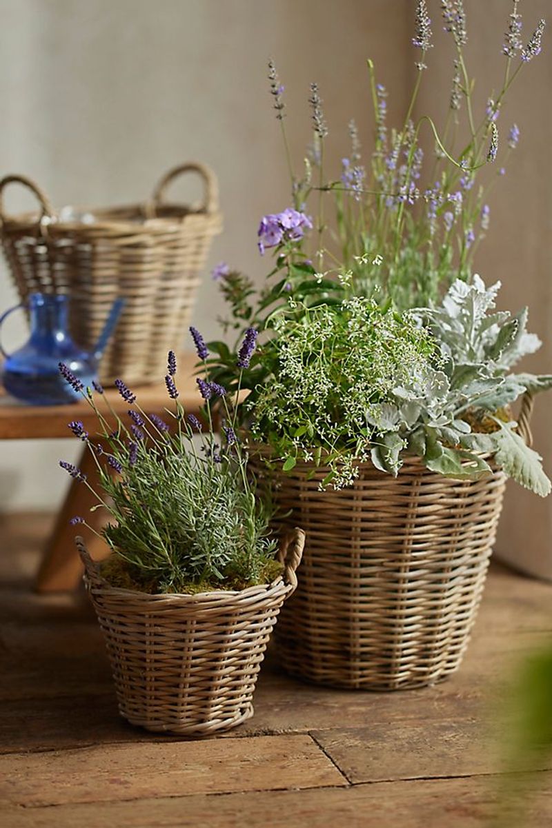 Wicker Basket Planters