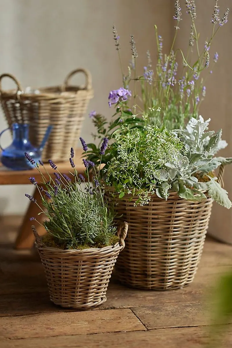 Wicker Basket Planters
