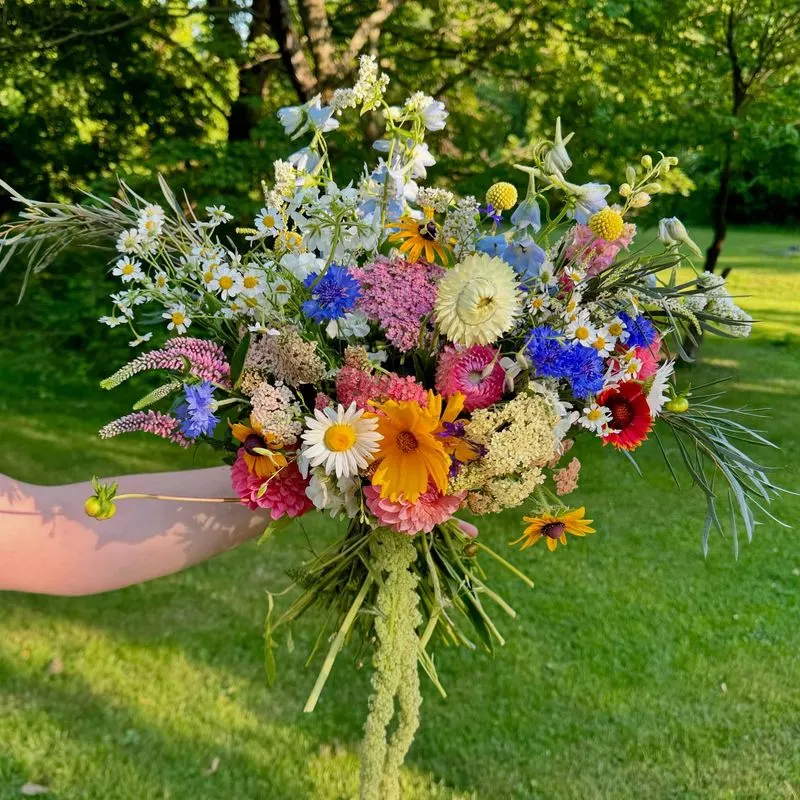Wildflower Arrangements