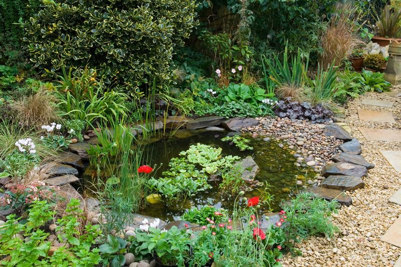 Wildlife Habitats