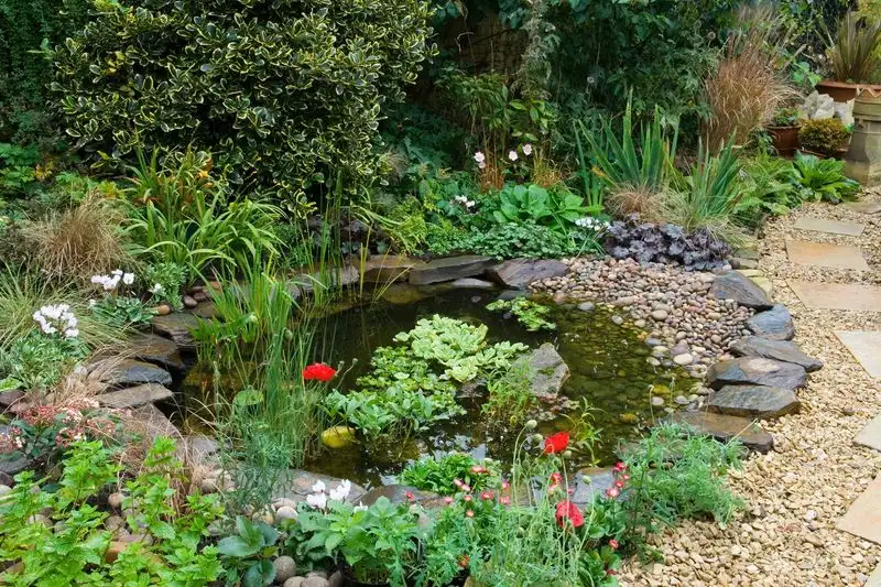 Wildlife Habitats