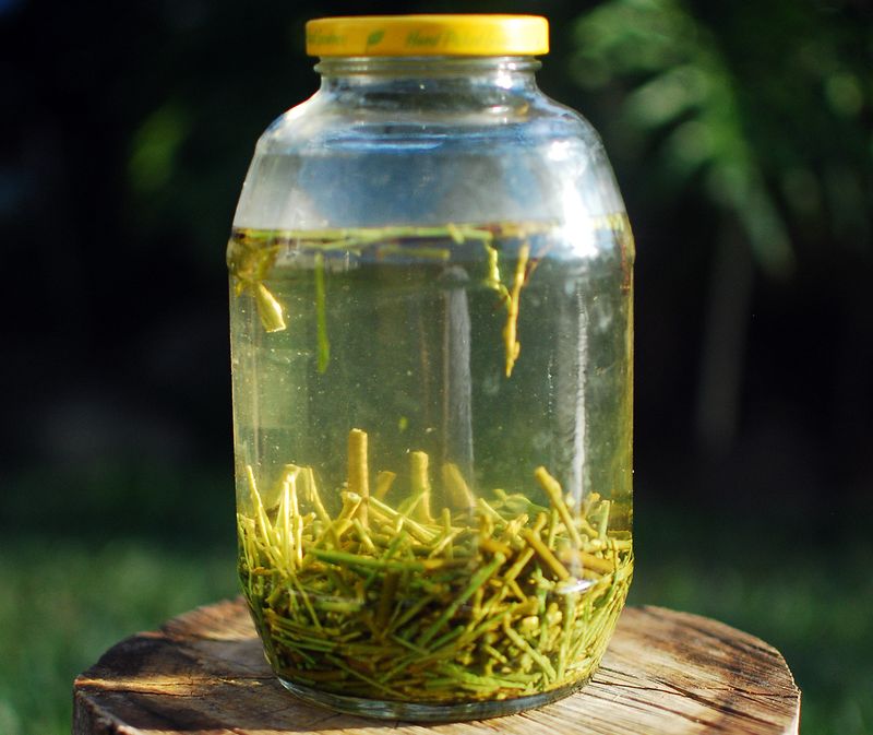 Willow Water