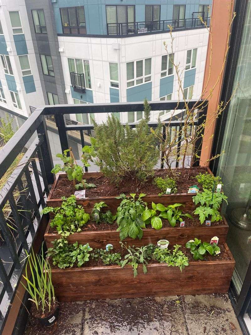 Window Box Planters
