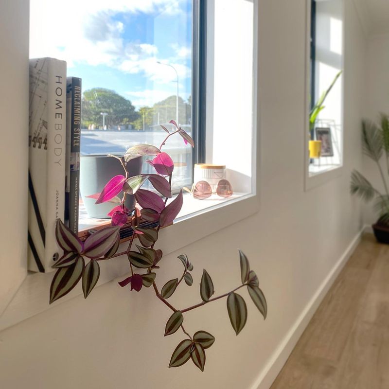 Window Sills