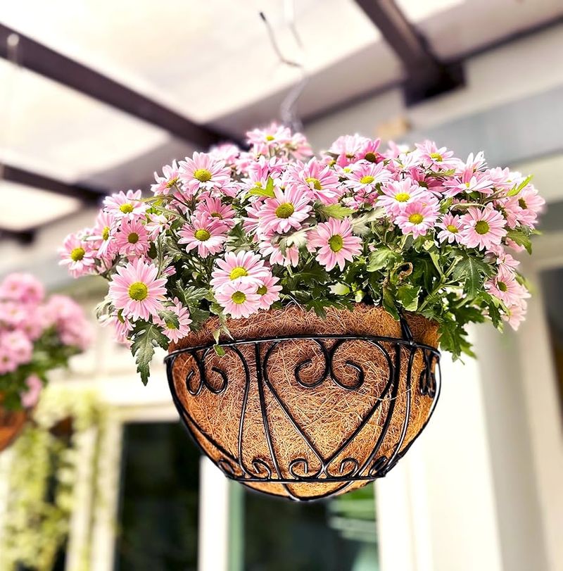 Wire Basket Planters