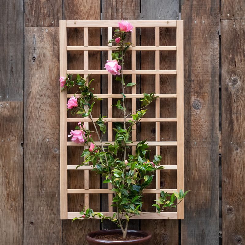 Wooden Trellises