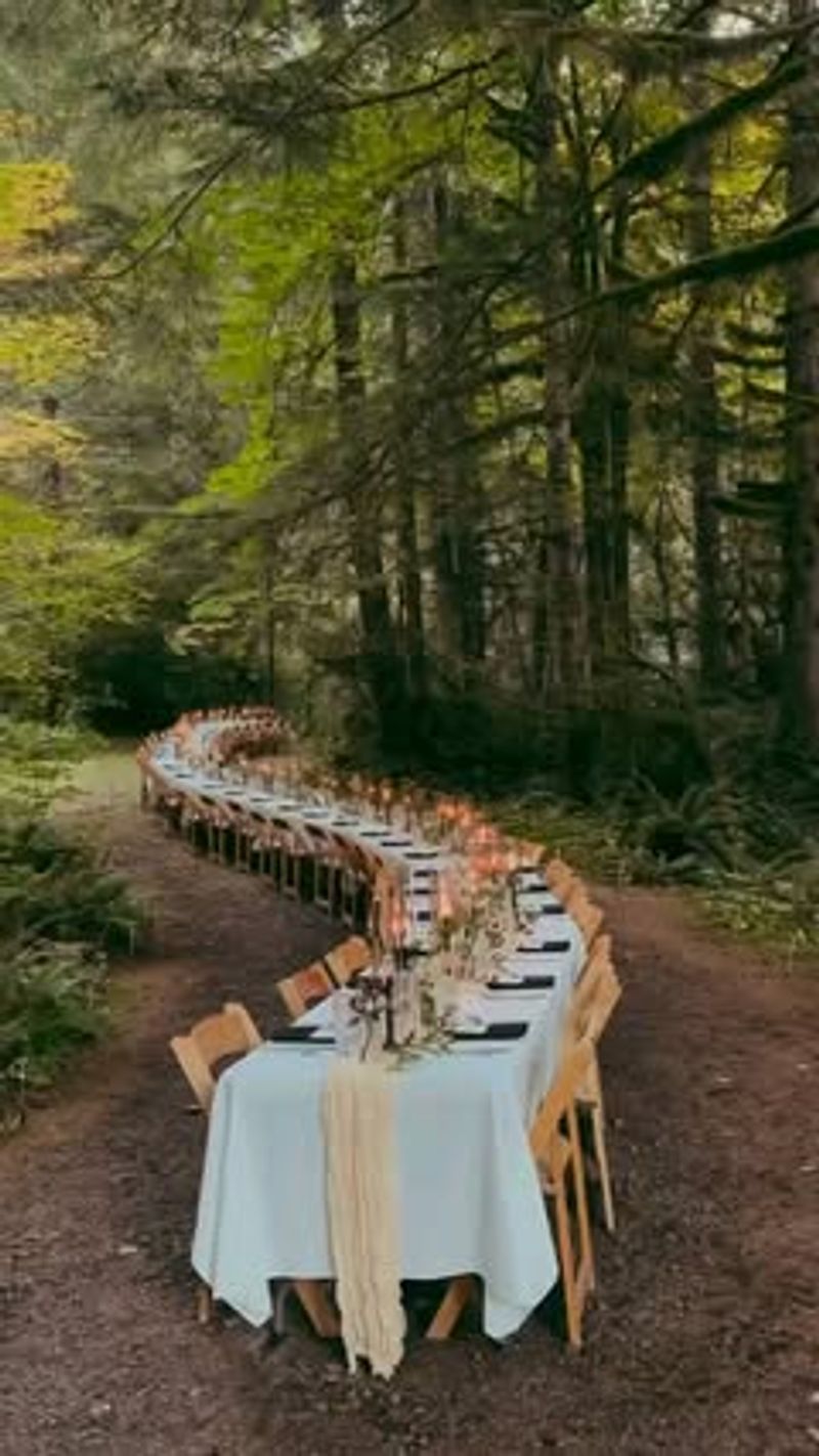 Woodland Enchantment