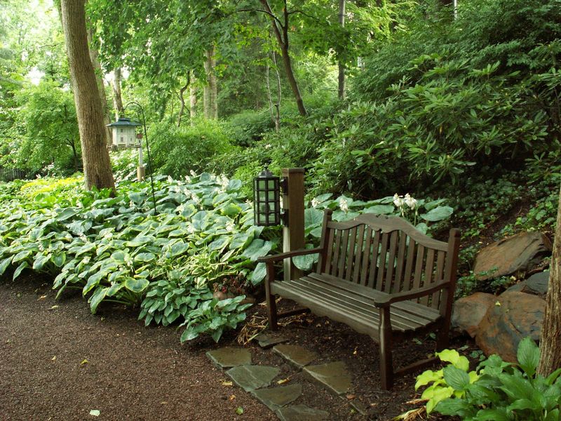 Woodland Seating Area