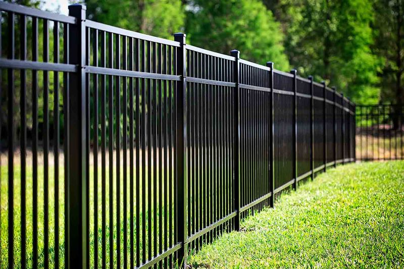 Wrought Iron Fence