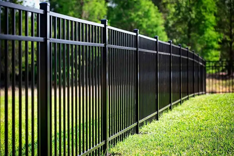 Wrought Iron Fence
