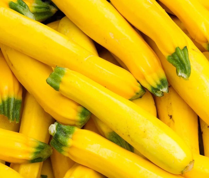 Yellow Squash