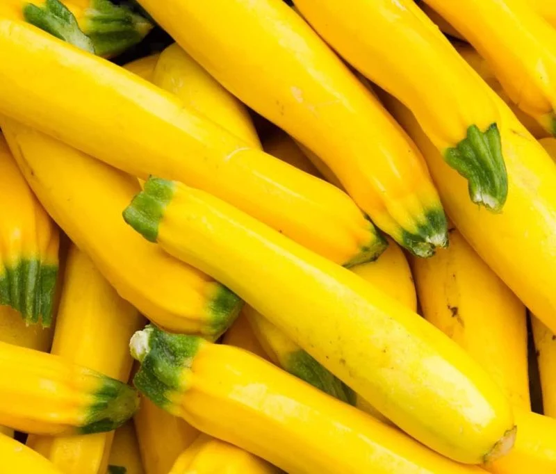Yellow Squash