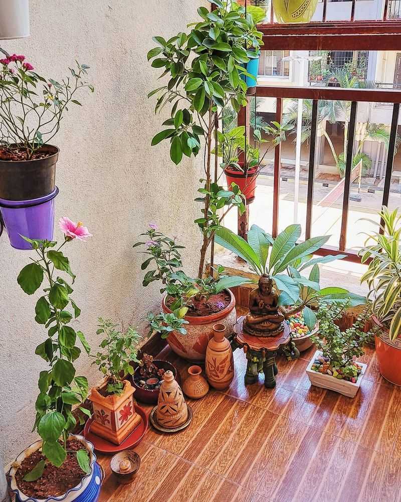 Zen Garden Corner