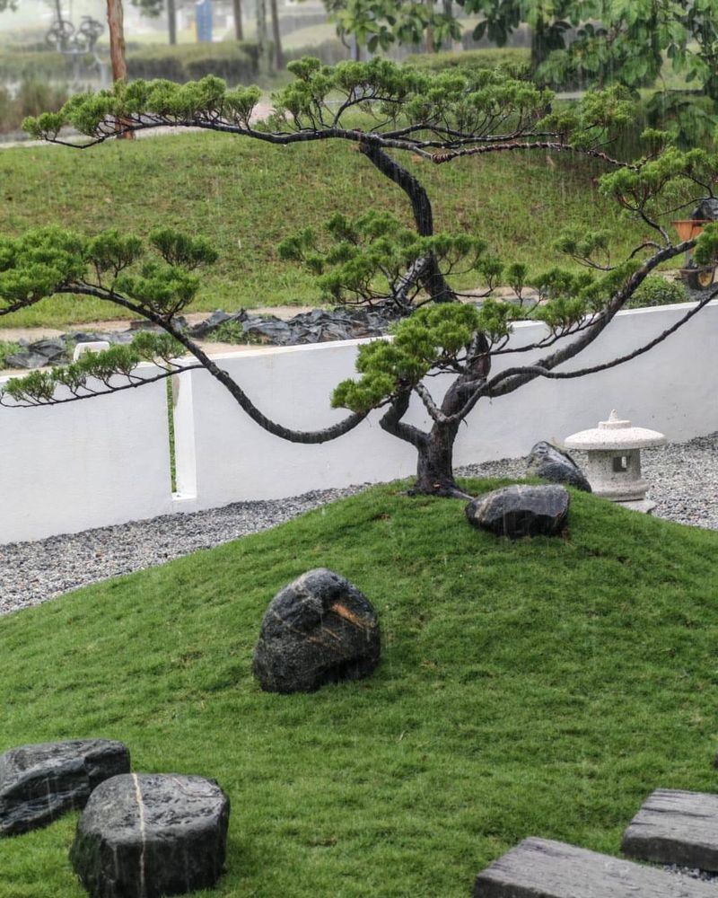Zen Sanctuary