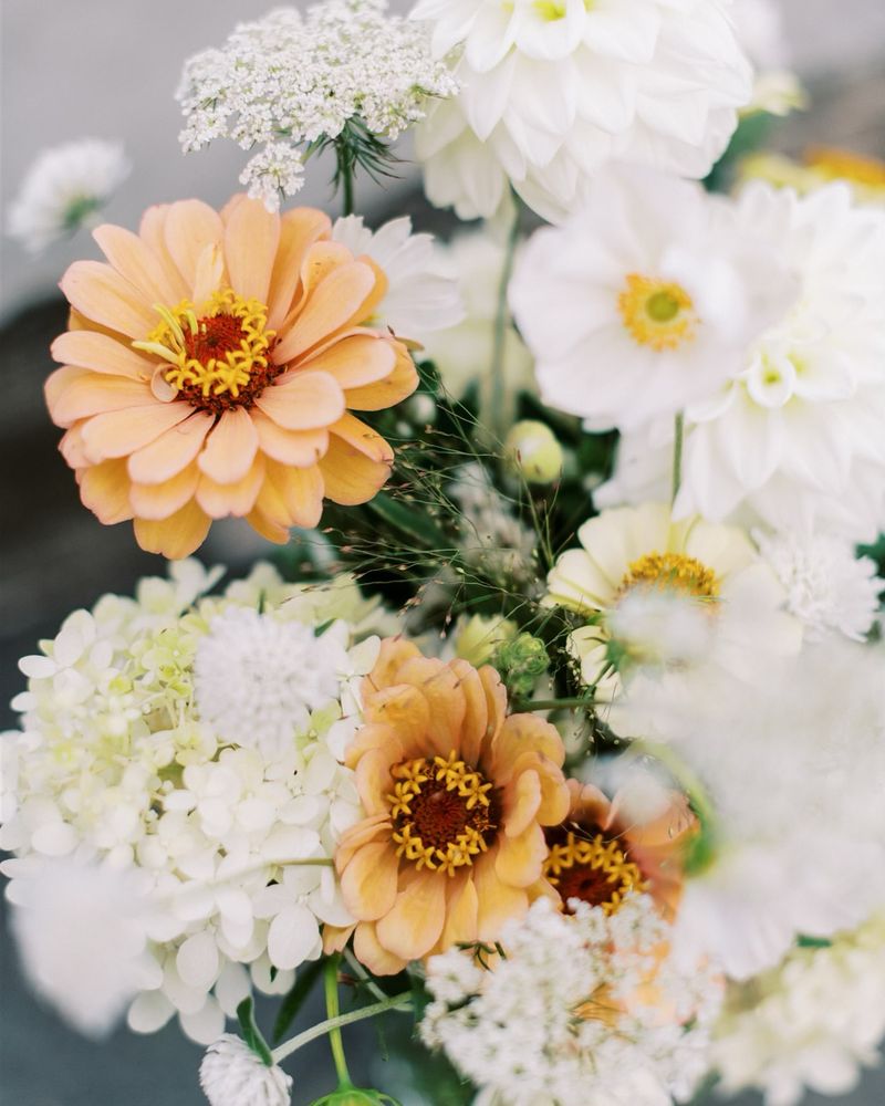 Zinnias
