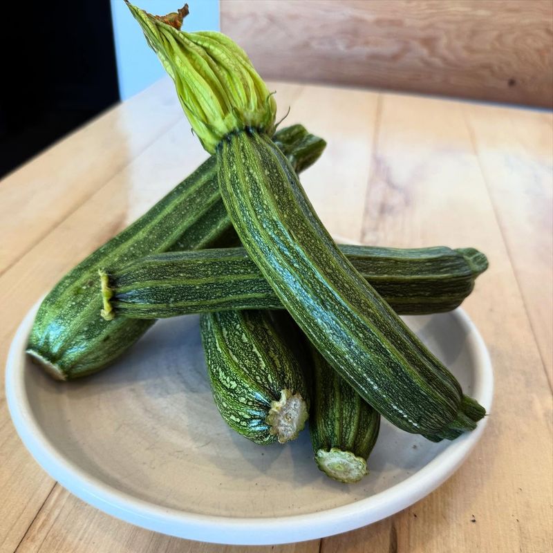 Zucchini