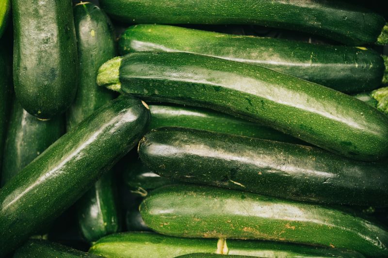 Zucchini (Sprawling)