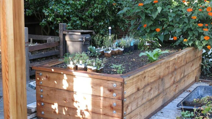12 Raised Bed Gardening Mistakes Florida Beginners Make During Hot Summers