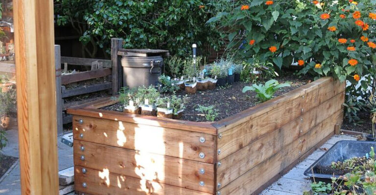 12 Raised Bed Gardening Mistakes Florida Beginners Make During Hot Summers