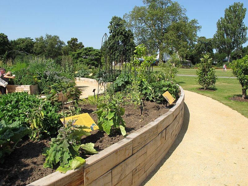 Small Yards Need Double-Duty Plants
