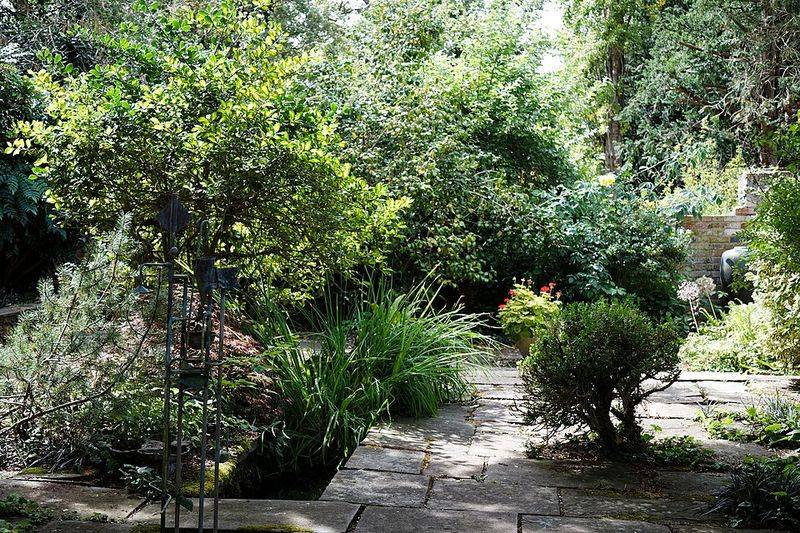 More Comfortable Summer Shade