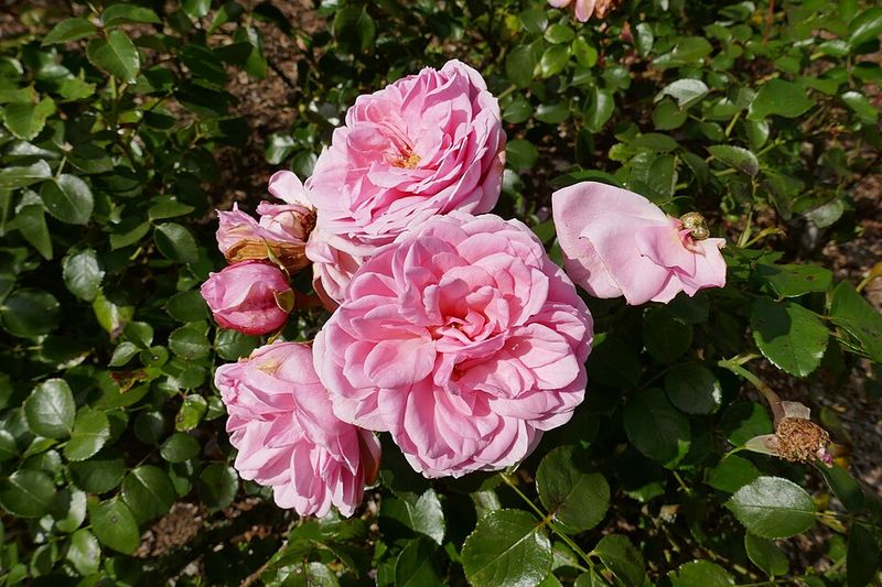 Seasonal Beauty Matters More Now