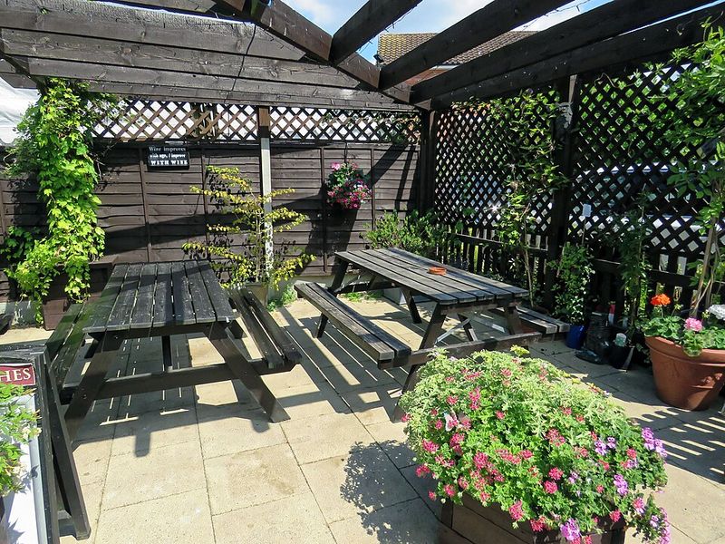 Better Curb Appeal in Backyards