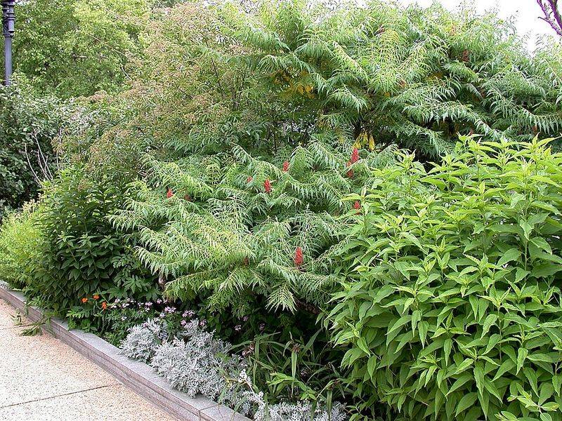 Planning for Easy Summer Maintenance
