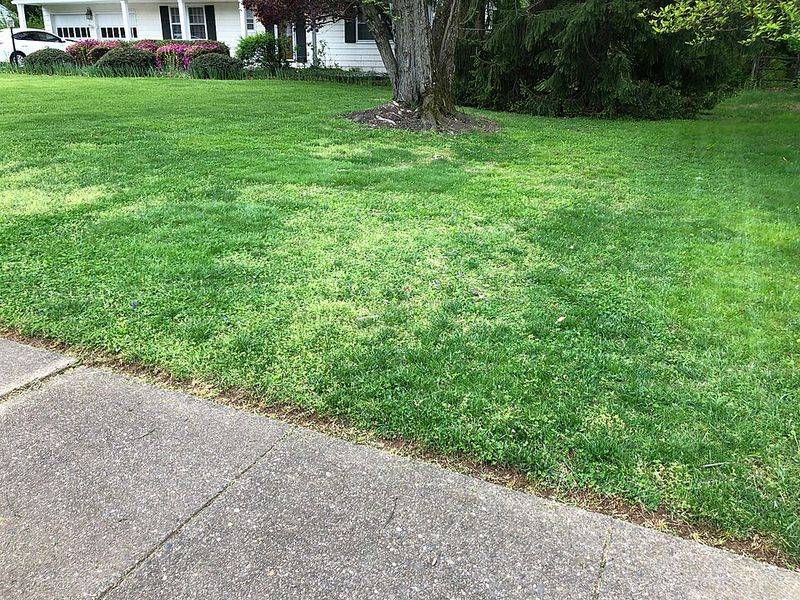 Mow high and protect stressed lawn edges