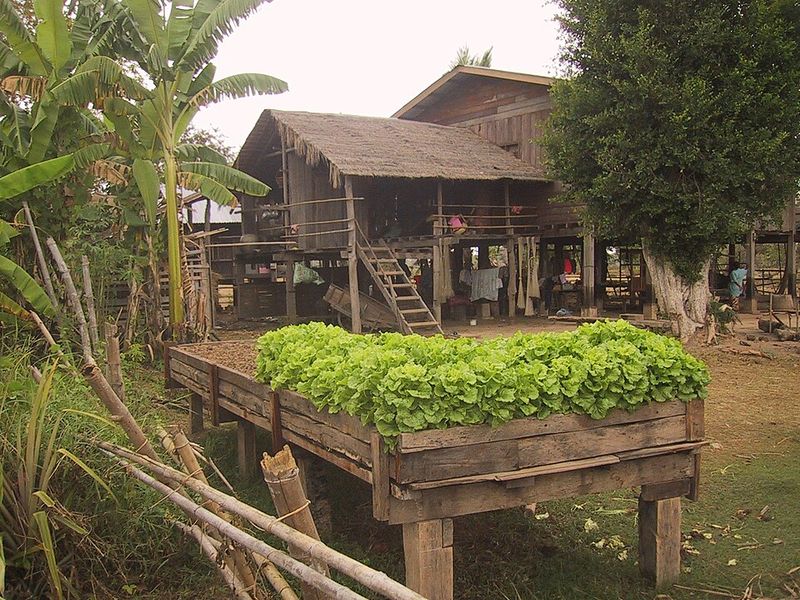 Use Raised Beds Wisely