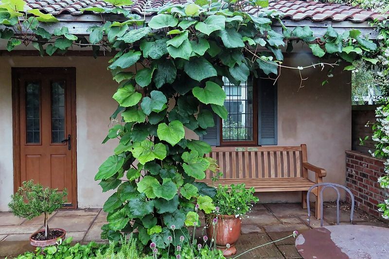 Smarter Use of Small Yards