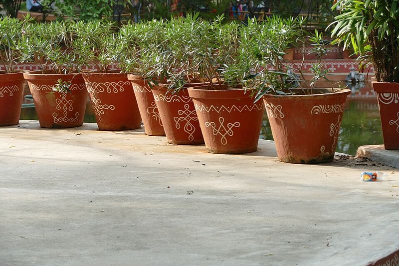 Herbs Keep Containers Looking Good Longer