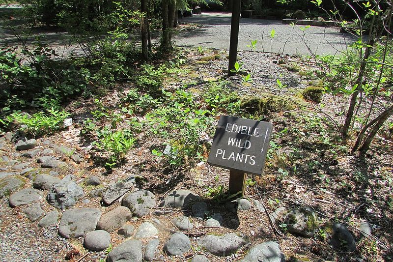 Edibles Extend Seasonal Interest