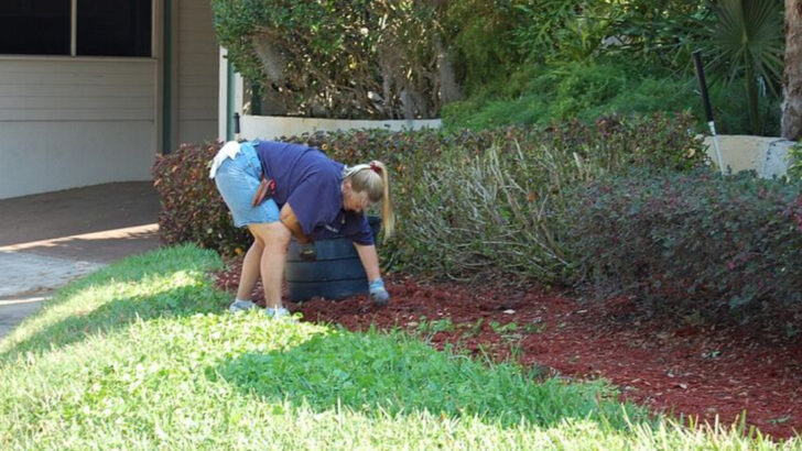 How Ohio Gardeners Are Creating Colorful Yards With Less Maintenance