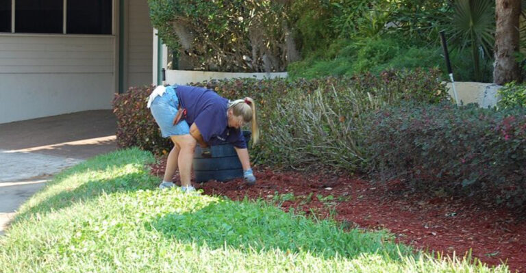 How Ohio Gardeners Are Creating Colorful Yards With Less Maintenance