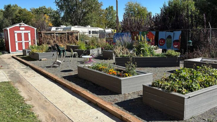 How To Keep Raised Bed Soil Healthy During Florida’s Rainy Season