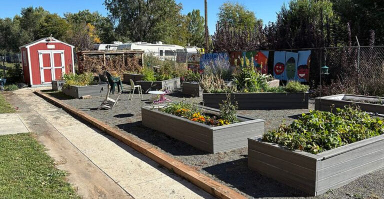 How To Keep Raised Bed Soil Healthy During Florida’s Rainy Season