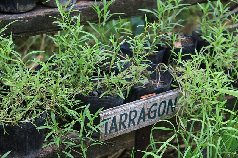 The Garden Feels More Personal