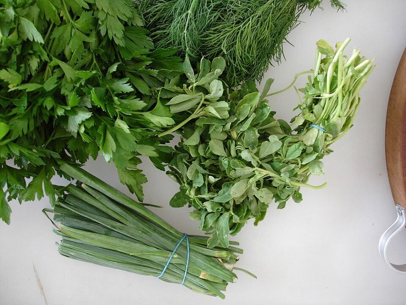 Dill and Chives