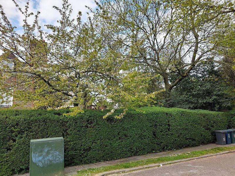 Higher Curb Appeal and Property Value