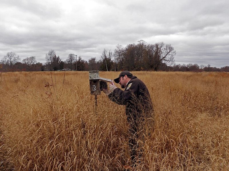 Keep Grass Manageable And Leave Hunting Space