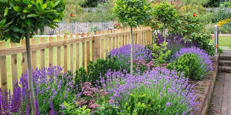 Color Echo Planting